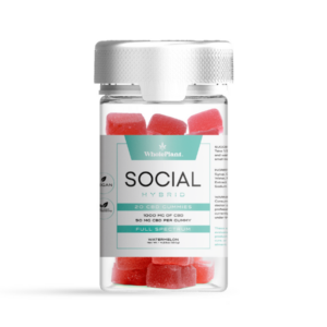 Whole Plant™ CBD Hybrid Gummies Social 20ct Bulk Wholesale