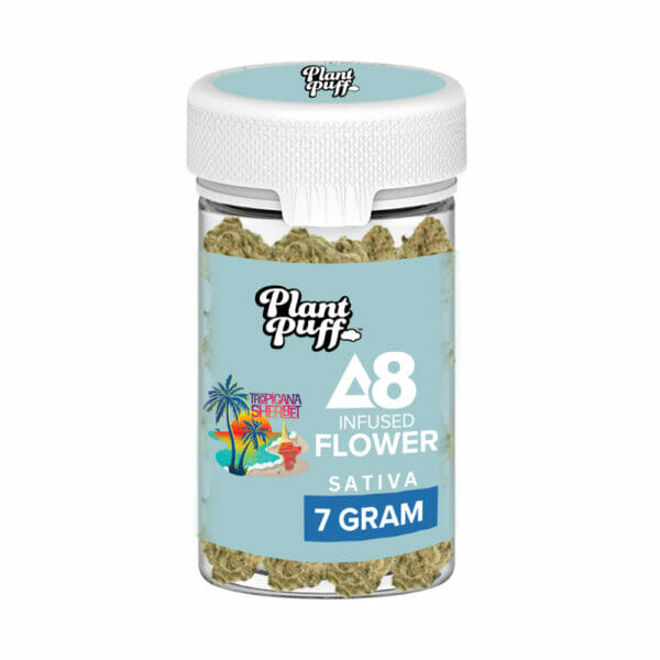 Tropicana Sherbert Sativa Delta-8 THC Flower 7g Bulk