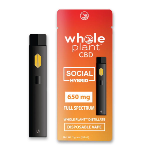 Whole Plant™ CBD Hybrid Disposable Vape Pen SOCIAL Bulk Wholesale